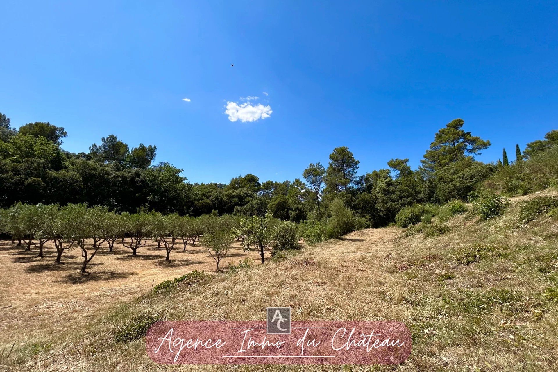 Vente Terrain La Roquebrussanne